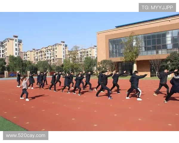 王丽的乒乓球人生深度对话探讨她的成长与梦想之路