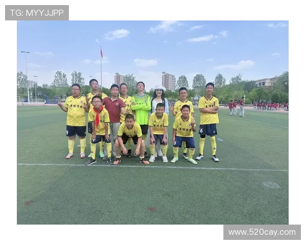 从绿茵场到文化交流被汉化的足球明星们的故事与影响 从绿茵场到文化交流被汉化的足球明星们的故事与影响