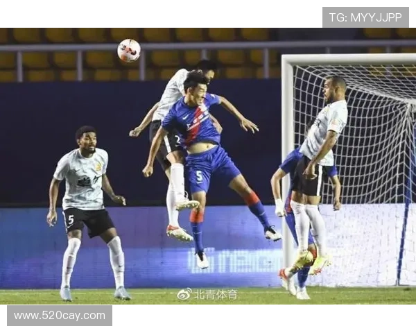 武汉排球队的崛起之路：从默默无闻到全国瞩目的冠军之旅